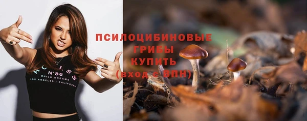прущий лед Михайловка